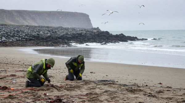 Guide pratique pour enfouir des câbles dans la Manche